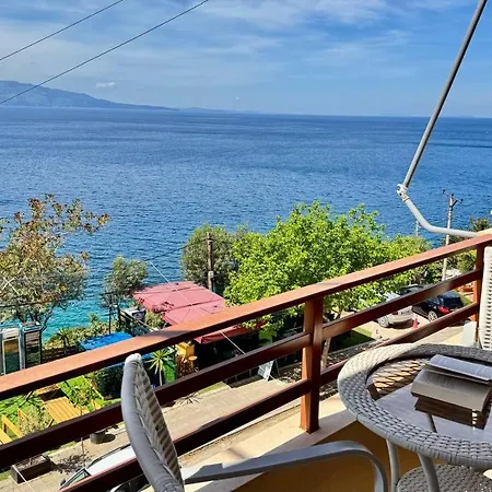 Red Berry * Saranda